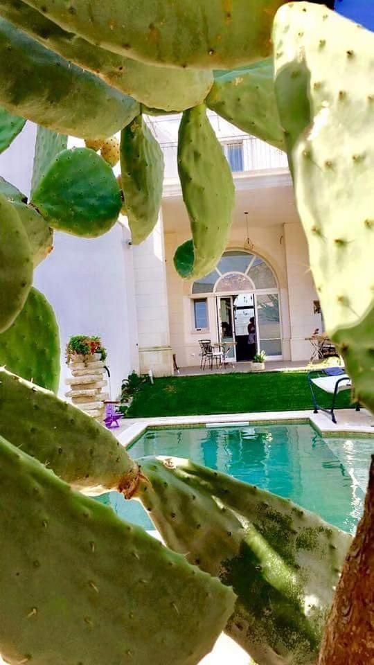 Percebes Exclusive B&B Cutrofiano Exterior photo